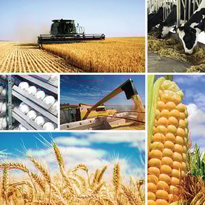 Agri Business