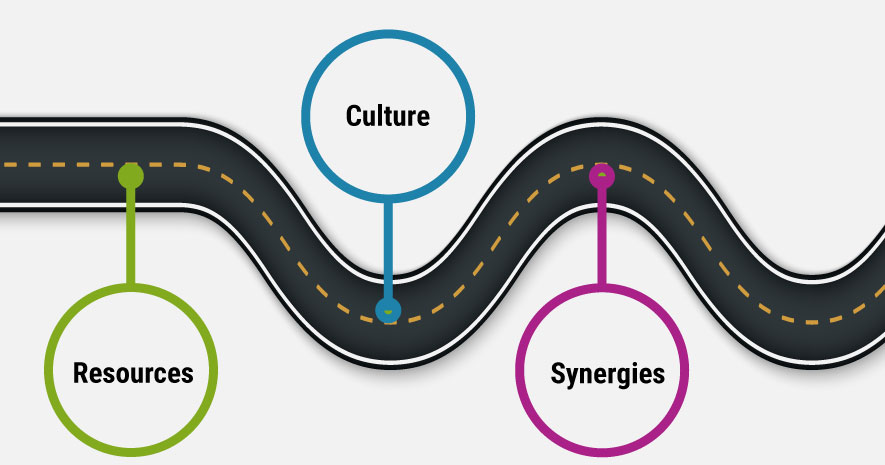 Synergies, Resources and Culture: A Roadmap to Strategic Partnerships