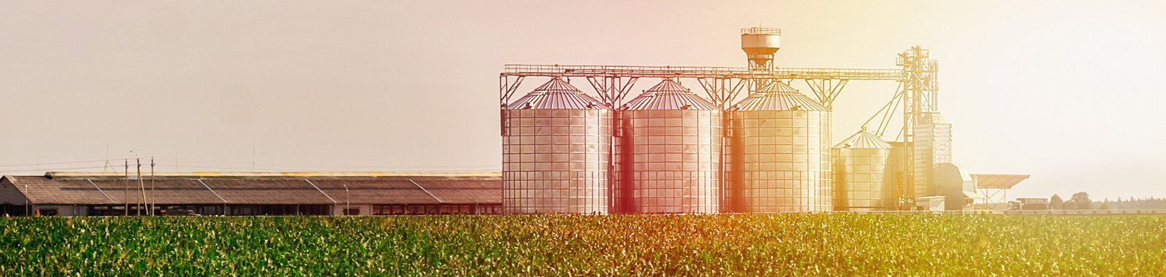 grain silos